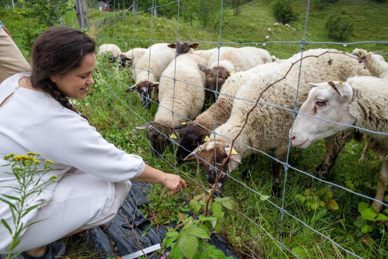 La Vieille Ferme, Ecogite Saint-Fulgence Exterior foto